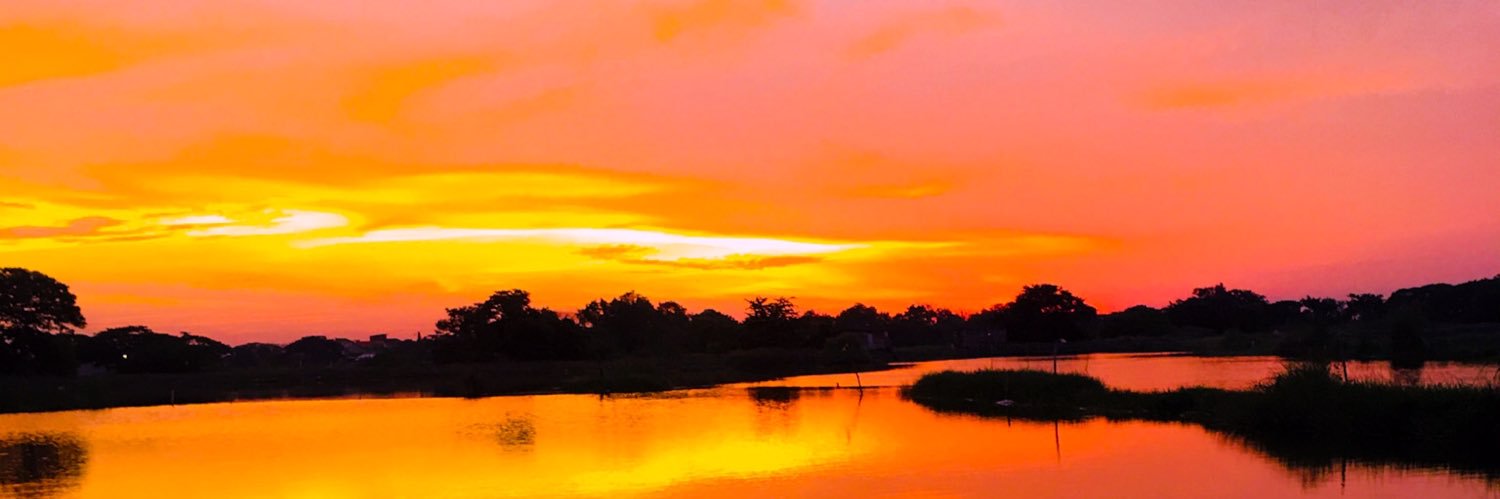 andprnm's profile banner image