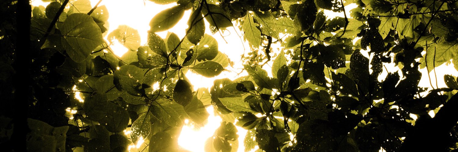 PatrickWilke's profile banner image