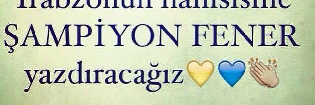 Alişen Olucak banner