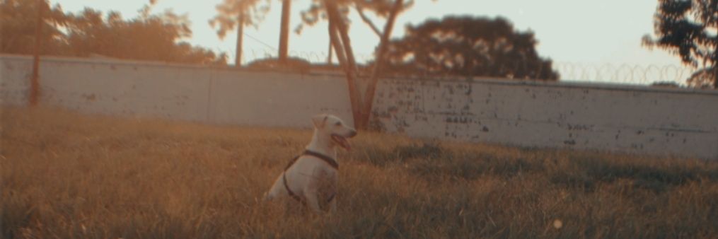_melinagr's profile banner image