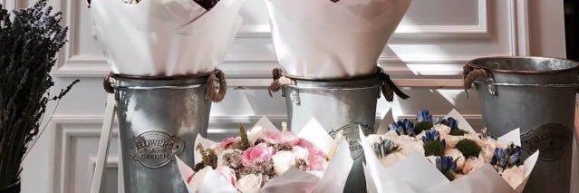 nothingx66's profile banner image