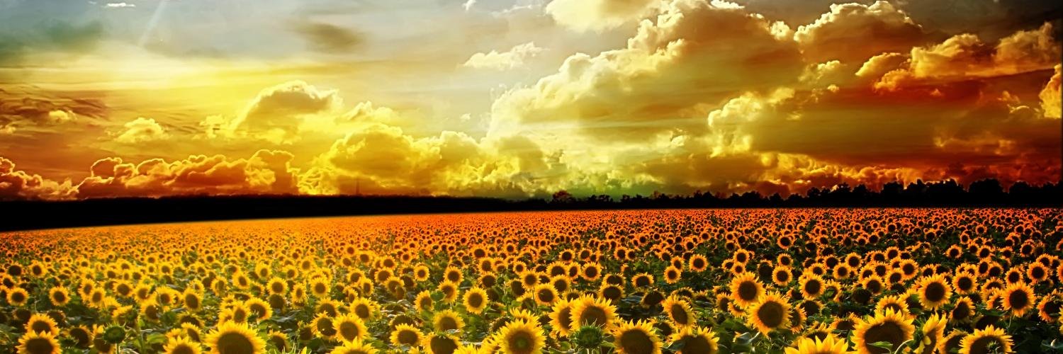 SolomiaAsti's profile banner image