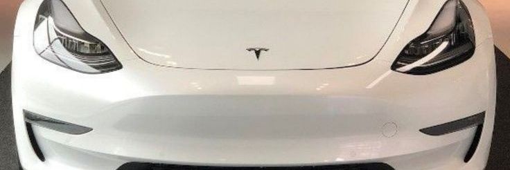 ELON MUSK banner