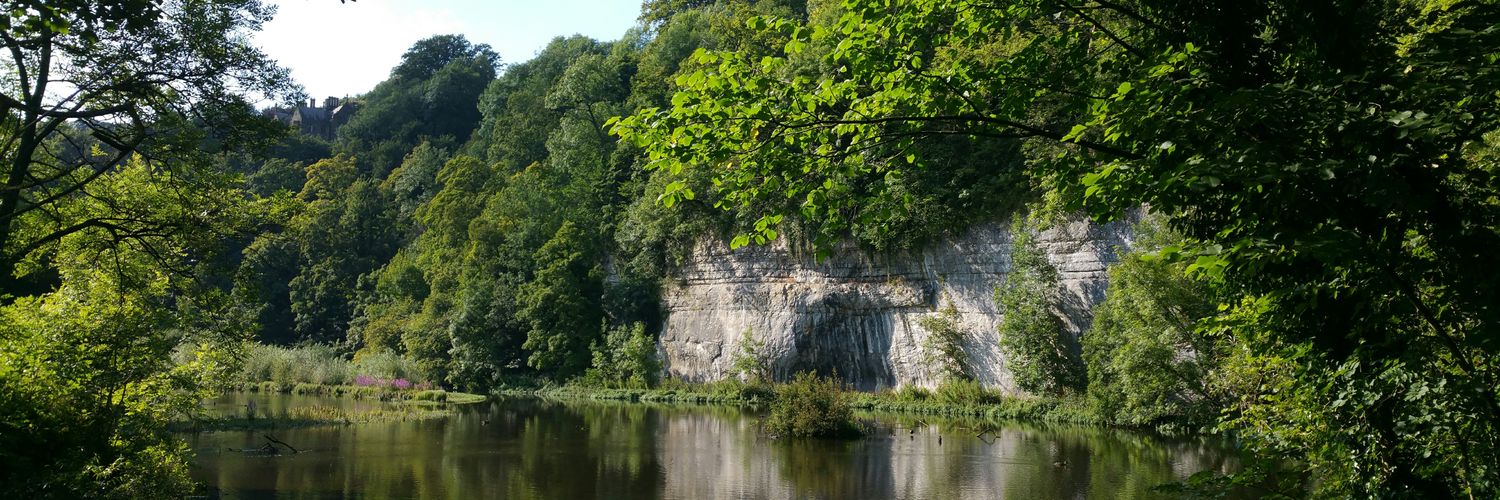 sampatrone's profile banner image