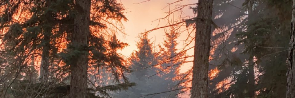 whereissam_'s profile banner image