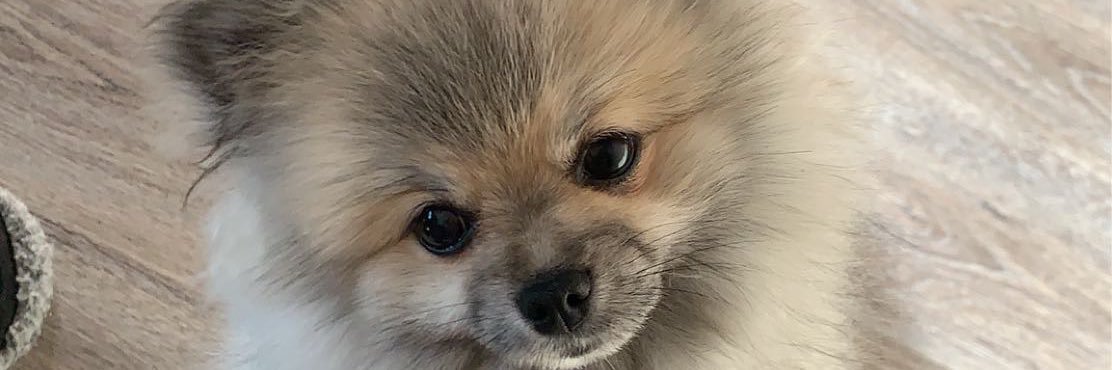 jpcnjn's profile banner image
