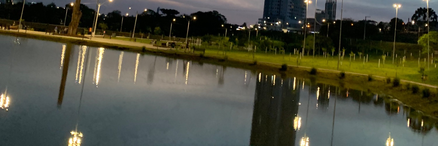 allebrinks_'s profile banner image