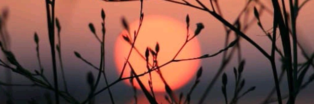 sally_gerard's profile banner image