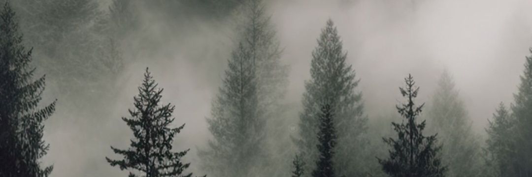 Davidkuev's profile banner image