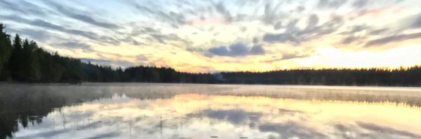 TeppoHemia Profile Banner