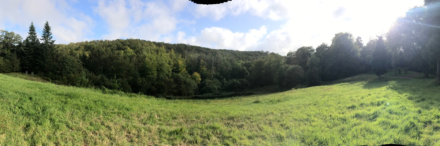 Jamie Wisdom 🏳️‍🌈 banner