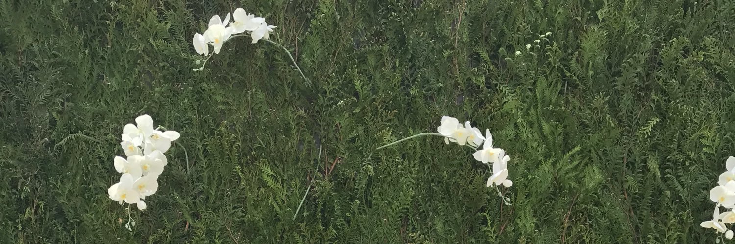 Priscilla Kuan banner