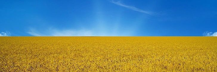 22march86's profile banner image