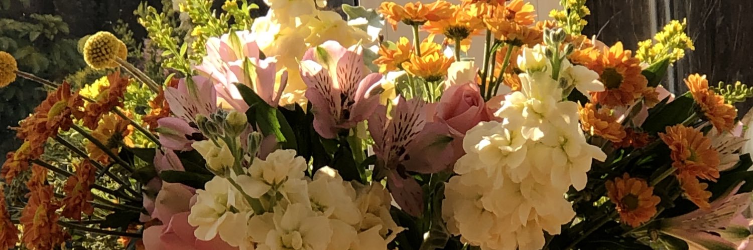 Nicola Waddington banner