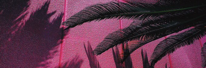 KelliMoksi's profile banner image