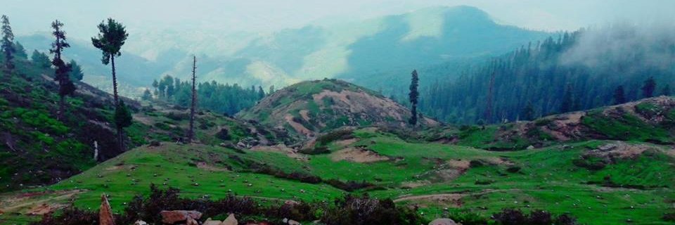 asdyns8's profile banner image