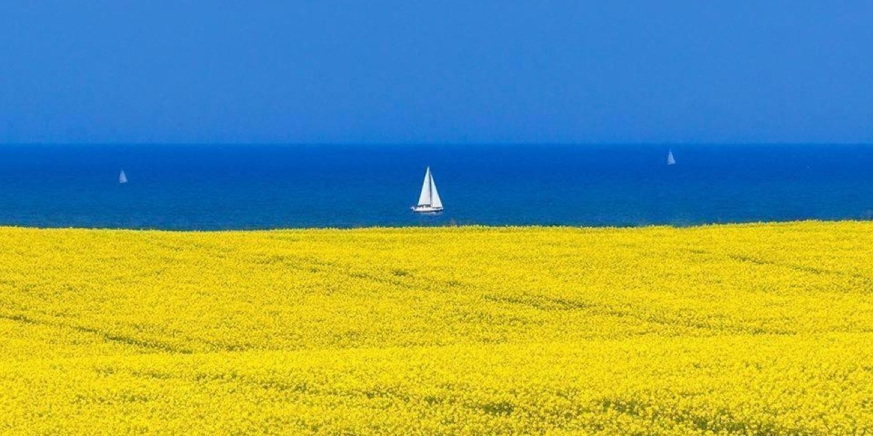 A von Beckerath banner