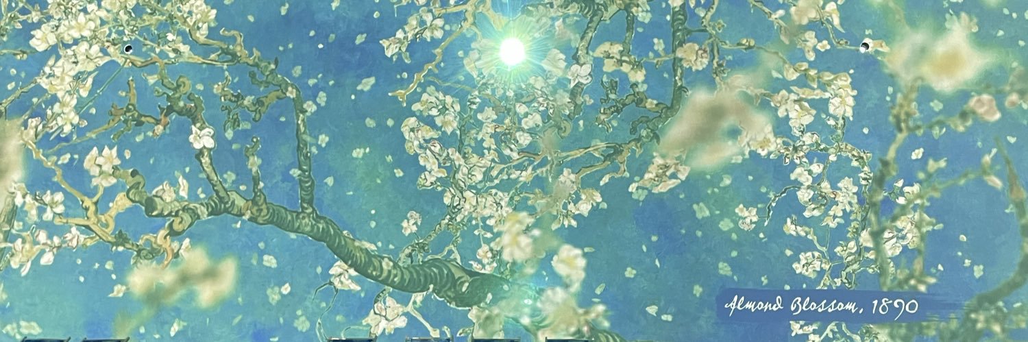 fabipuntocom's profile banner image