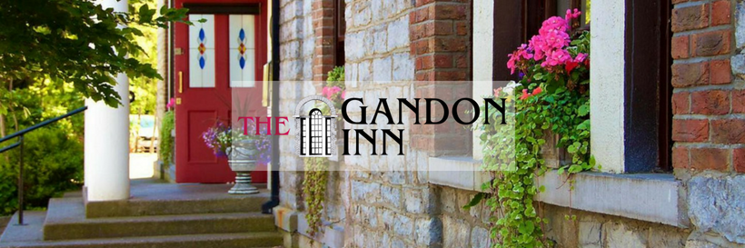 gandoninn's profile banner image