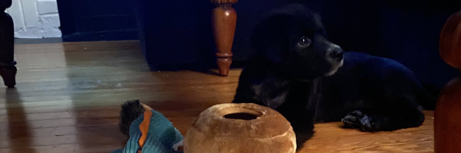 Davexcuneo's profile banner image