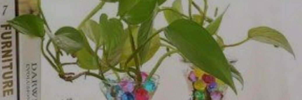 MelvFalih's profile banner image