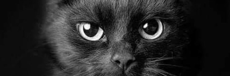 OsOx4q's profile banner image