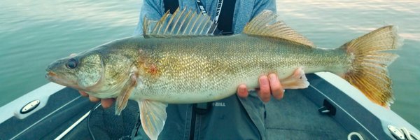 fishflint Profile Banner