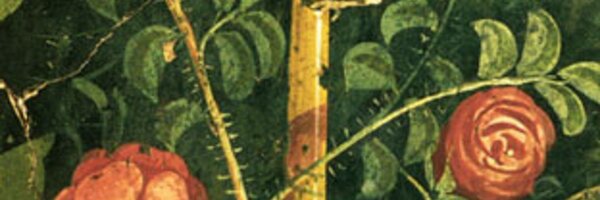 DavieBerg Profile Banner