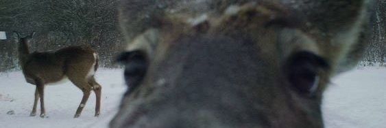 RogeOS4's profile banner image
