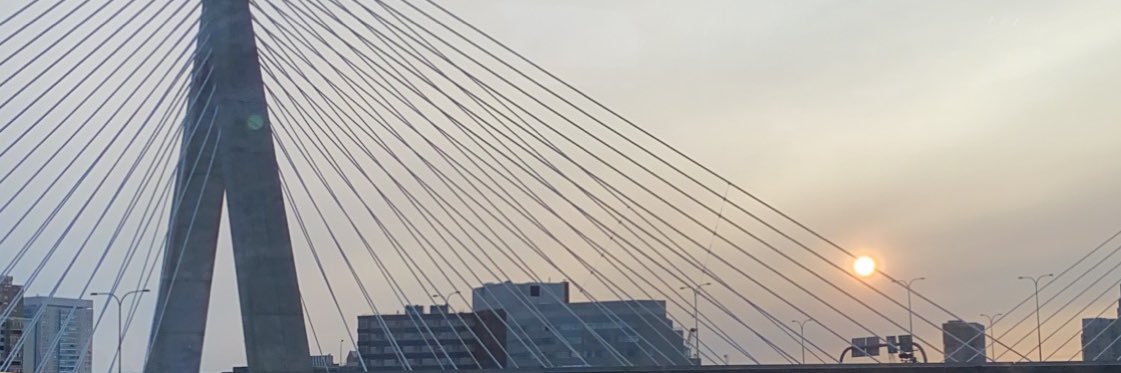 coyefish26's profile banner image