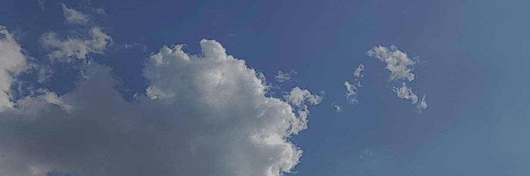 FloreeVega's profile banner image