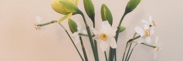 Boston_Boffin's profile banner image