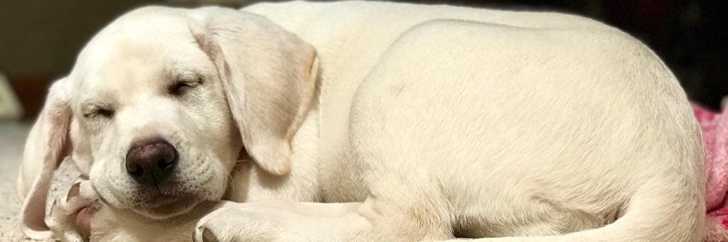 BrookeIsBauman's profile banner image