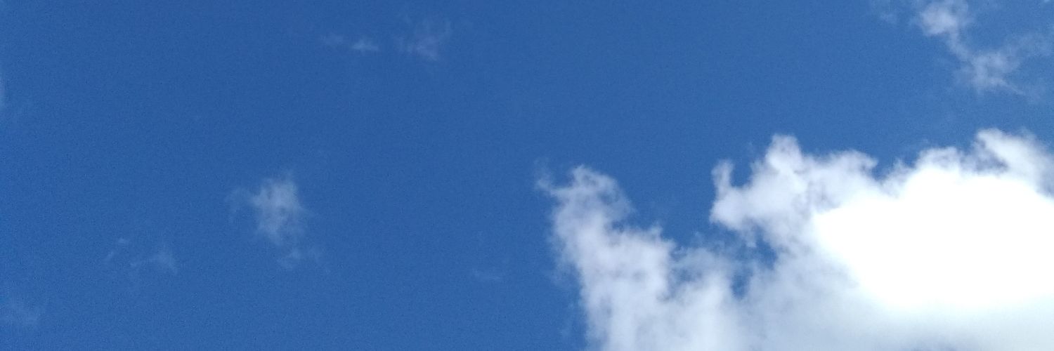 ohnubegris's profile banner image