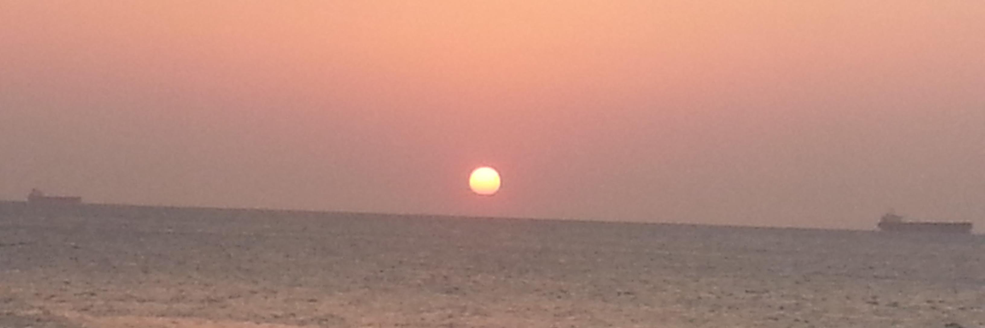 irrq's profile banner image