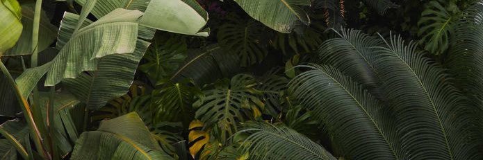 Cdmart's profile banner image