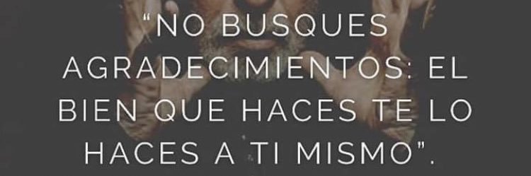 Jose Feliciano banner