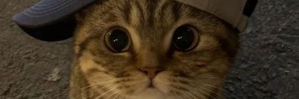 droxCS Profile Banner