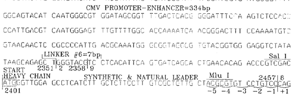 vbarsan Profile Banner