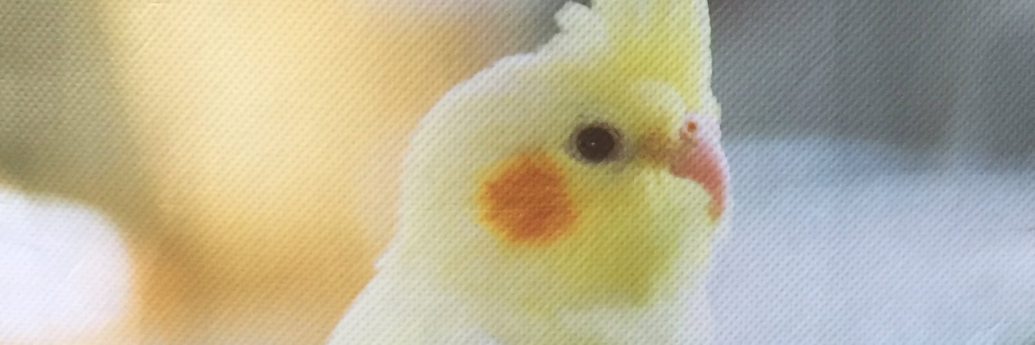おでん@しえる banner