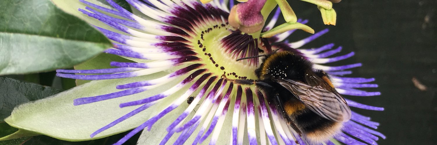 🌎Animal Watch banner