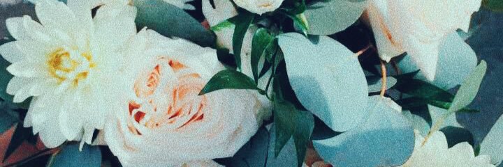 maddylund's profile banner image