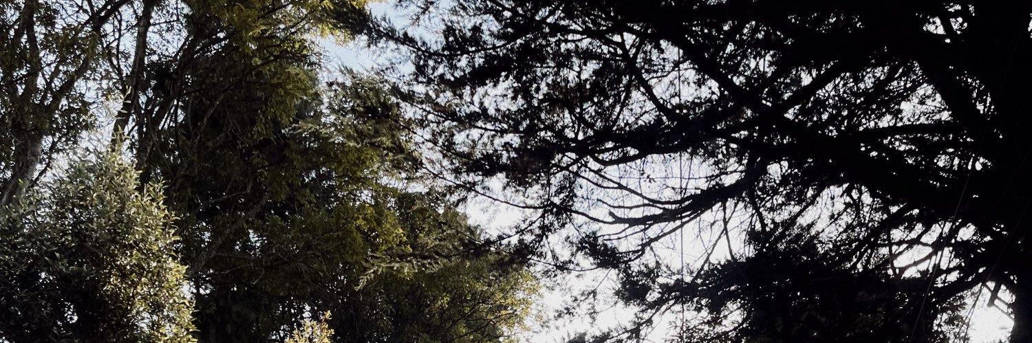 acf_fm's profile banner image