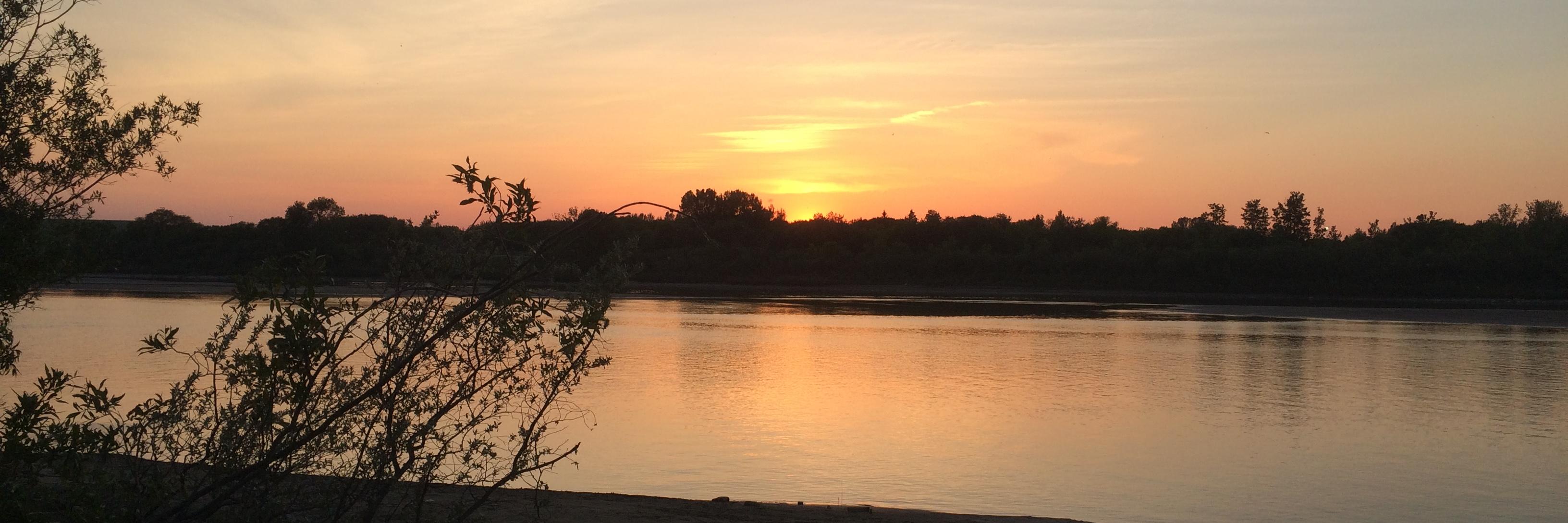 Michael Robin banner