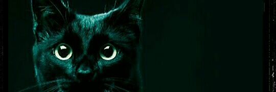 Lilith_1975's profile banner image