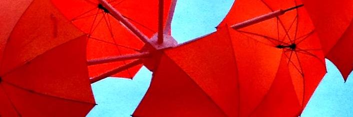 PLRI's profile banner image