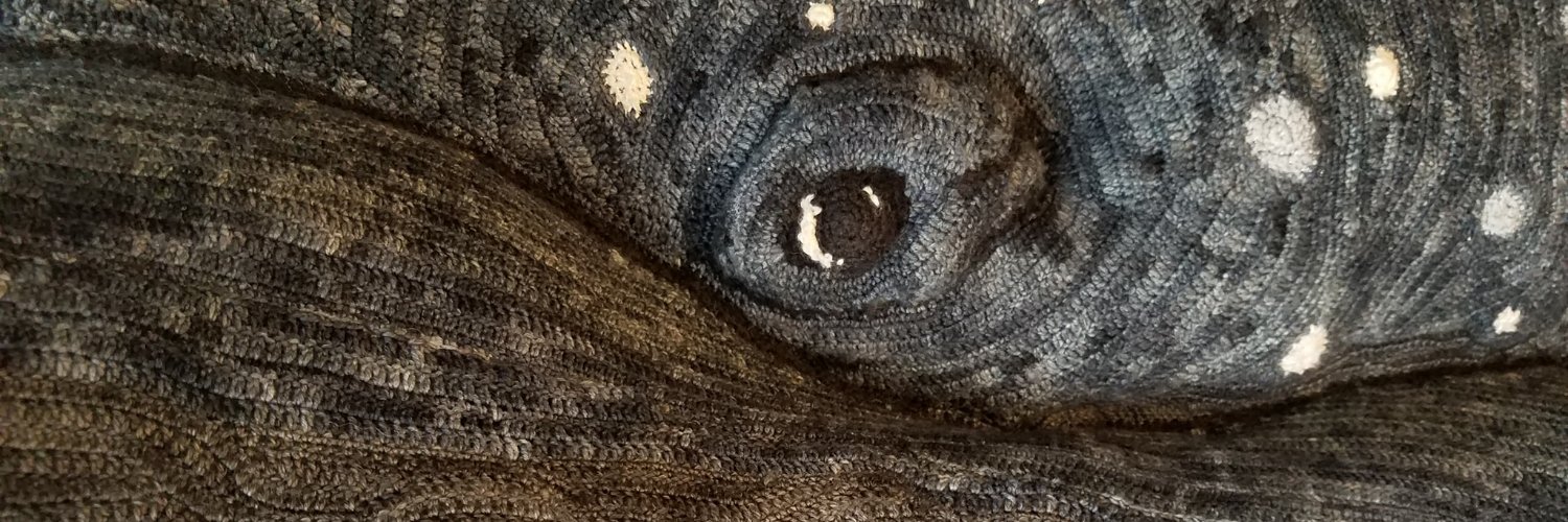 ChristyHarkness's profile banner image