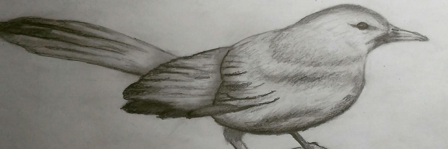 ITrigo9's profile banner image