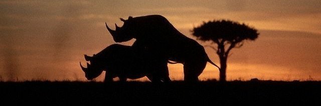 CouchCommander5000 banner