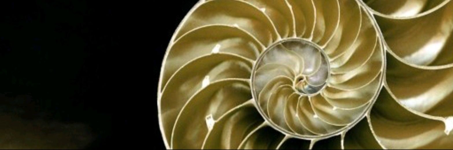 gemasamol's profile banner image